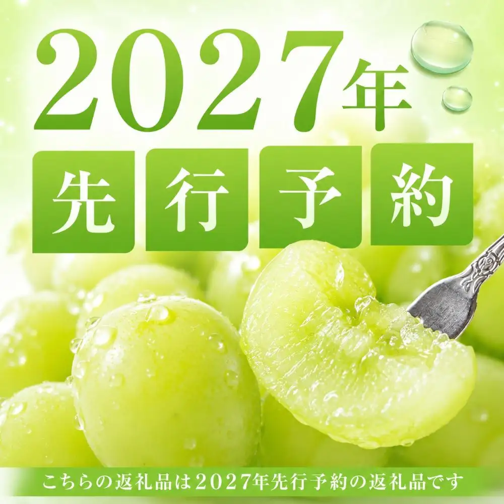 ぶどう 定期便 2027年 晴れの国 岡山 の ぶどう定期便 3回コース 葡萄 ブドウ 岡山県産 国産 セット ギフト