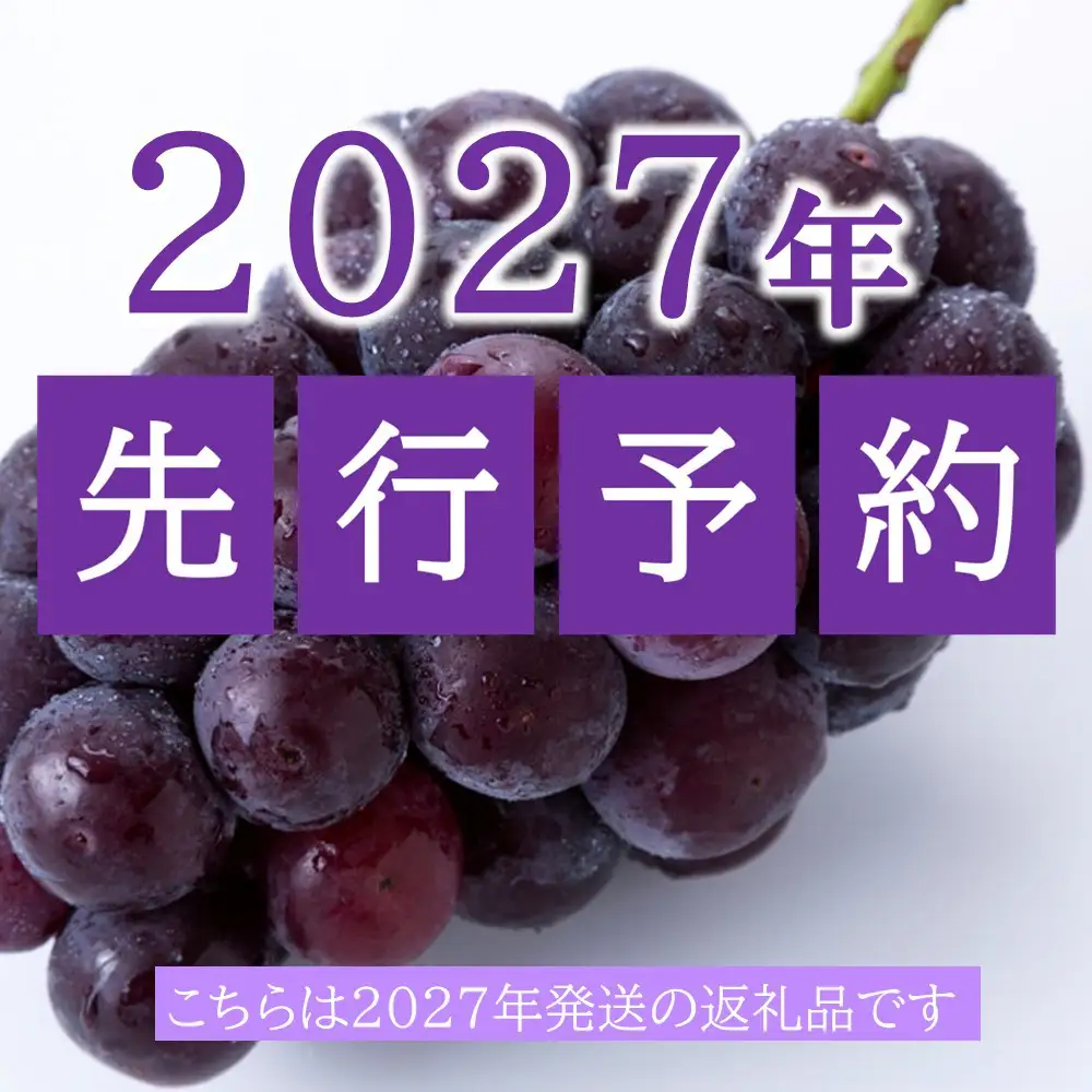 ぶどう 2027年 先行予約 ニューピオーネ 2房・シャインマスカットのドライフルーツ 40g×2袋 セット 岡山県産 | ぶどう