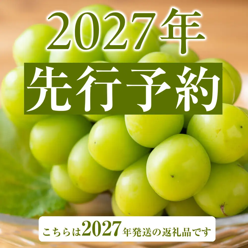2027年 先行予約 岡山県産 朝採れ シャインマスカット 2房（1kg以上）・ドライフルーツ 40g×2袋 セット | シャインマスカット
