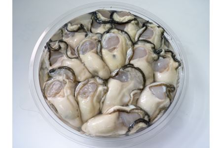 白方産 りょうせん牡蠣 むき身（加熱用）（予約受付中：旬にお届け！2027年1月頃から期間限定出荷！）【A-12】