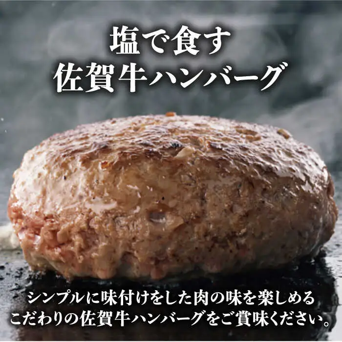 佐賀牛 若楠三元豚 ハンバーグ 食べ比べセット 計4個 /ナチュラルフーズ [UBH081] ハンバーグ