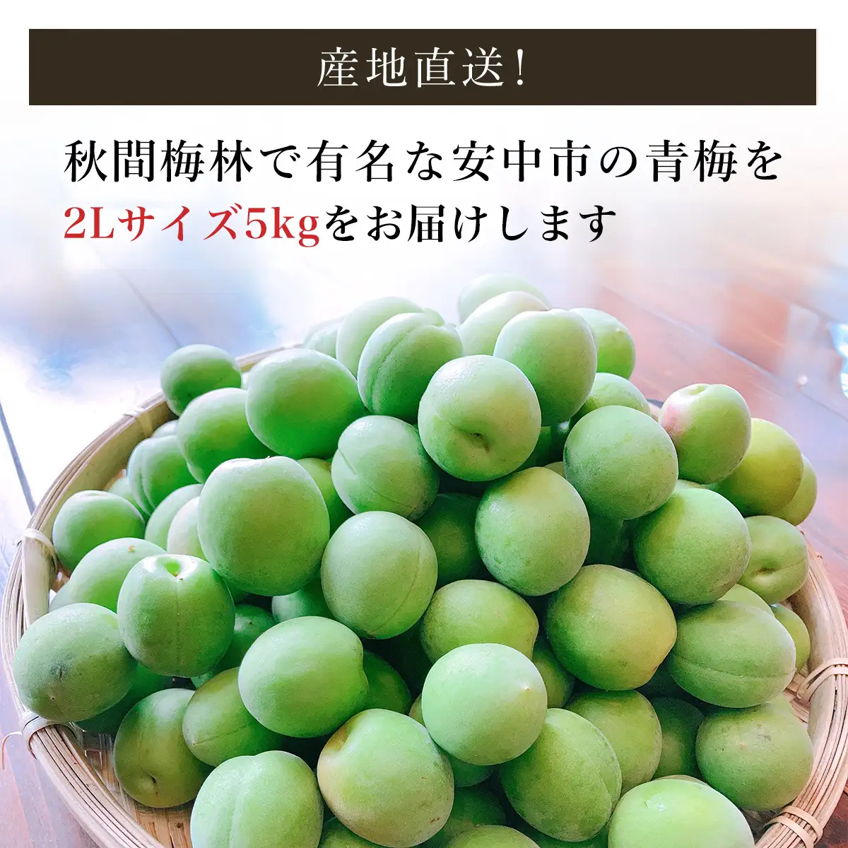 旬をお届け！青梅【２Lサイズ５㎏】 ANAR019