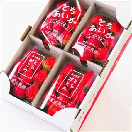 いちご生産量日本一栃木産　春イチゴ『とちおとめ』『とちあいか』 (260g×4パック)食べ比べセット_いちご 苺 とちおとめ とちあいか セット 食べ比べ 人気 おすすめ 送料無料 贈答 ギフト 栃木 佐野 冷蔵 春いちご_【配送不可地域：離島】【1489767】