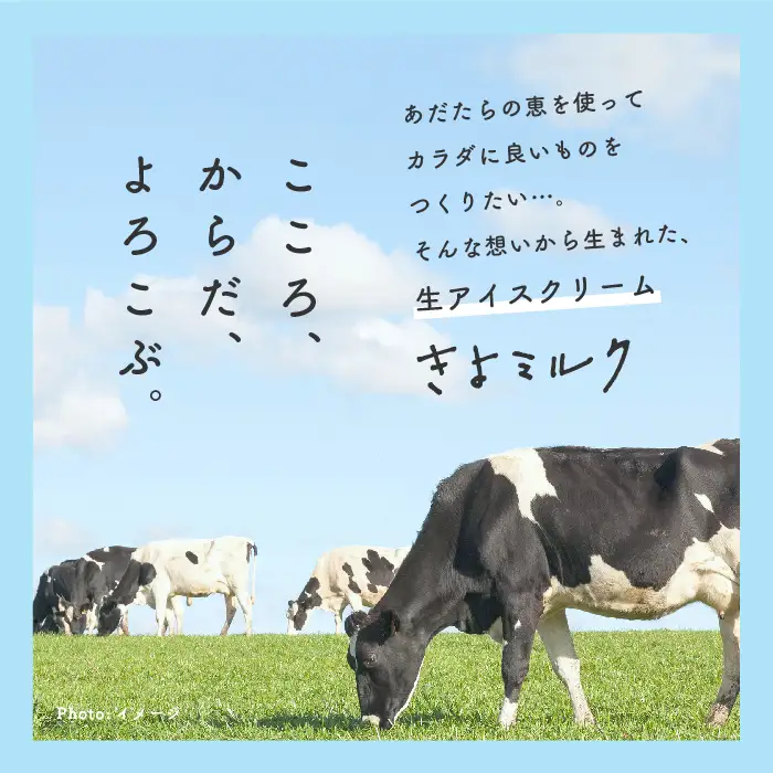 《2026年12月中旬以降順次発送》無添加にこだわったソフトクリーム！「きよミルク」12個入【あだたらのちち株式会社】