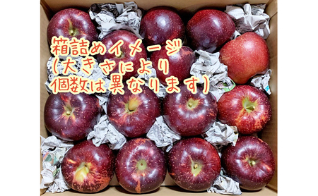【2026年産】 訳あり りんご 秋映 約5kg 林檎 リンゴ 5kg 果物 くだもの フルーツ デザート 旬の果物 旬のフルーツ 訳アリ 長野県 長野