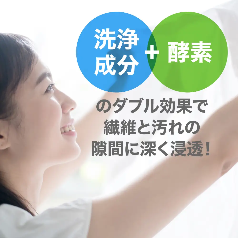 洗濯洗剤 液体洗剤セット 本体×12本 [FZ001]
