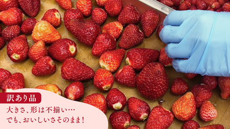 訳あり 冷凍 いちご 約2.5kg いちご 紅ほっぺ ひたち姫 とちおとめ