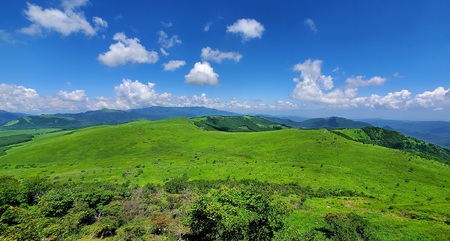 霧ヶ峰(車山)草原トレッキング～自然を感じて、五感を使うのんびり山歩き～ ツアー参加券 2名様分 八ヶ岳登山企画 [88-07]