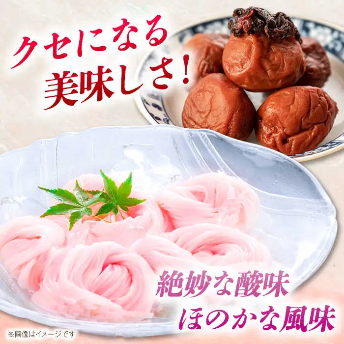 【極旨めん】紀州梅・八女茶そうめんセット（50g×各4束） / そうめん ソーメン そうめん 素麺 ソーメン 島原ソーメン ソーメン / 南島原市 / 小林甚製麺 [SBG024]