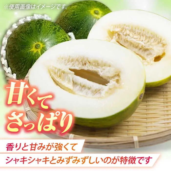 【2027年4月中旬-発送】パパイヤメロン 約5kg（約5~7玉）/ メロン めろん パパイヤメロン 果物 フルーツ / 南島原市 / 長崎県農産品流通合同会社 [SCB086]