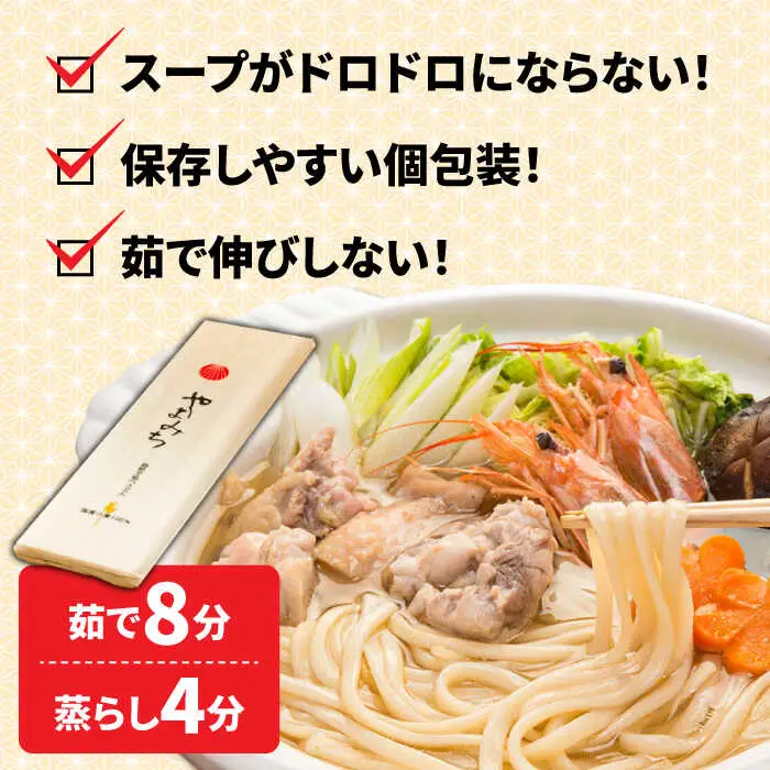 島原 手延べうどん 山道うどん 国産小麦100％ 160g×30袋 4.8kg / 島原手延べ うどん ウドン 饂飩 乾麺 麺 / 南島原市/ そうめんの山道 [SDC011]