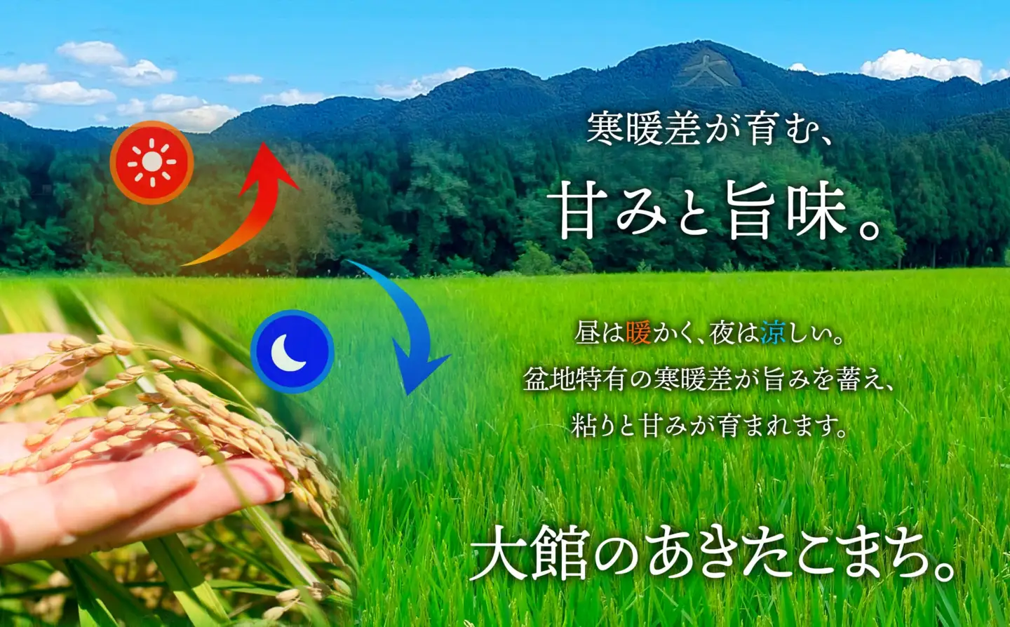 【令和8年産】秋田県大館産あきたこまち10kg(5kg×2)　新米【JAあきた北精米センター】