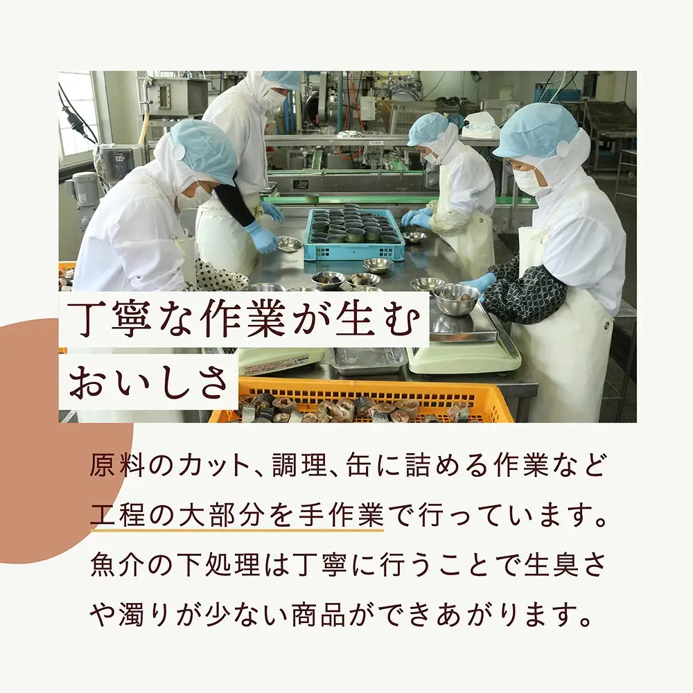 【 無添加 】 缶詰 いわし水煮 180g×12個 無着色 長期保存 非常食 缶詰