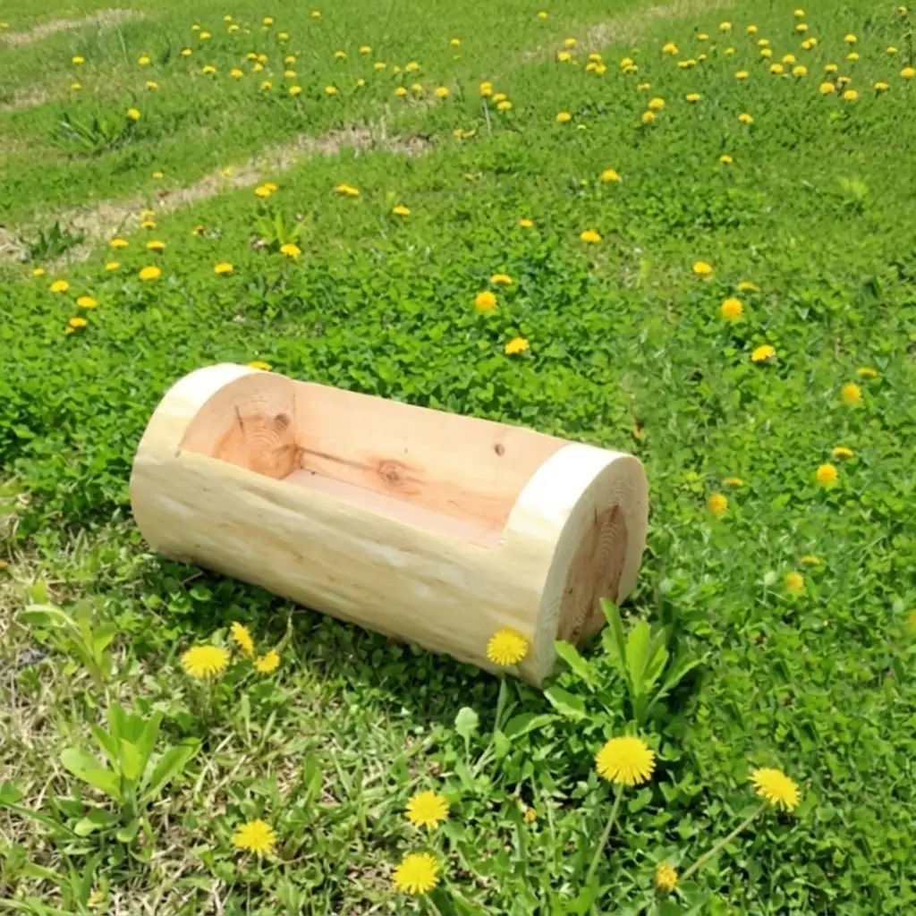 木製プランター 秋田杉 生え杉くん 横長 木製プランター