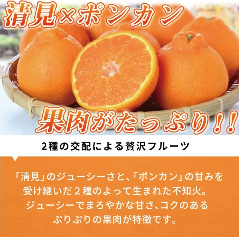 【先行予約】紀州有田産不知火(しらぬひ) 2.5kg ※2027年2月中旬頃〜3月中旬頃に順次発送予定（お届け日指定不可）/ みかん 不知火 和歌山 フルーツ 有田【uot794】