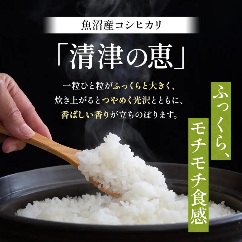 コシヒカリ 令和7年産 特別栽培米 清津の恵 2kg コシヒカリ