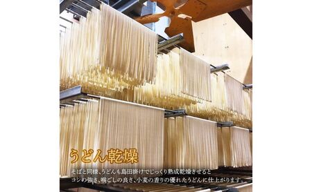 細切りざるうどん 10把入り（めんつゆ10個付） 乾麺 麺 麺類 新潟 