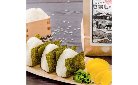 【通年受付】≪令和8年産≫【定期便／1ヶ月おき全6回】農家直送！魚沼産コシヒカリ特別栽培「白羽毛の米」玄米(30kg×1袋)×6回 計180kg お米 白米