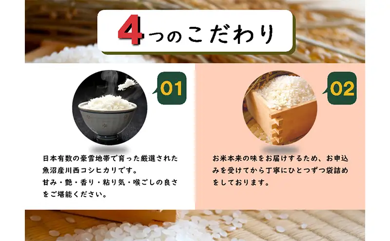数量限定 従来品種 魚沼産コシヒカリ 精米 5kg×5