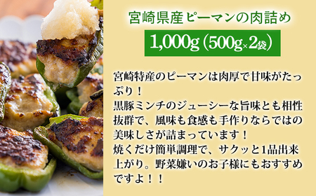 《期間限定：訳アリ不揃い唐揚げ500g付き》お手軽国産素材の手作りおかず3種類セット2.2kg(ピーマン肉詰め ハンバーグ 唐揚げ) TF0759-P00064