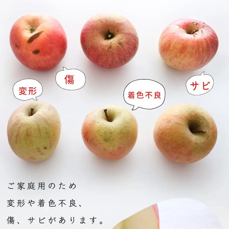 令和8年産 訳あり りんご 5kg  「ふじりんご」生産者直送 2026年産 山形県産 【2026年11月下旬頃から12月下旬頃発送予定】　011-B-NG009