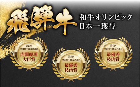 【ふるなび限定】飛騨牛 シャトーブリアン ステーキ150g×4枚 シャトーブリアン トキノ屋食品 牛肉 FN-Limited-PR