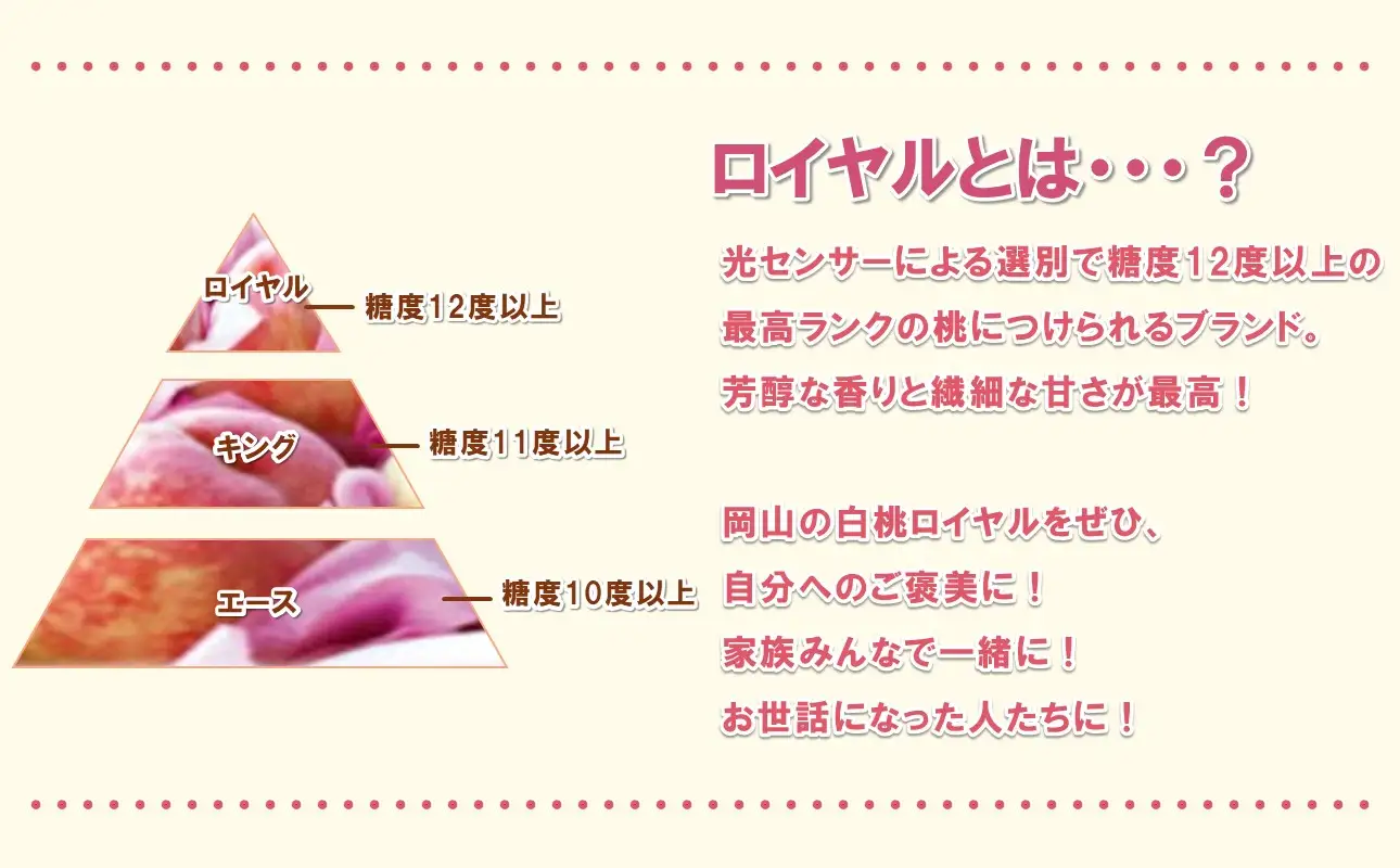 【2027年発送分・先行予約開始！】岡山県産 白桃 最高ランク！「ロイヤル」約2kg（5～7玉）（令和9年7月以降発送）【桃】