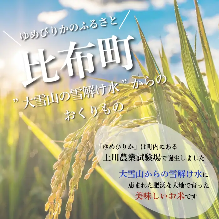 令和7年産 特別栽培米 ゆめぴりか 10kg【ナナプラザ】米 お米 北海道産 北海道米 特Aランク 国産 白米 コメ 北海道 比布町 ぴっぷ 1021-002