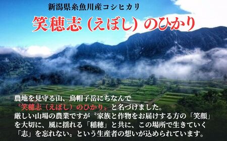 令和6年産新米【定期便】コシヒカリ『笑穂志(えぼし)のひかり』5kg×6回 毎月お届け 全30kg U'ファーム【米 お米 白米 こめ コメ こしひかり 新潟県 糸魚川産 2024年産 食品 人気 おすすめ 6か月 6ヵ月 6ヶ月】