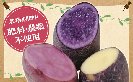 【先行予約】 自然栽培のじゃがいも 3種類 約15kg 【ほたるファーム】 野菜 芋 国産[TEB007]