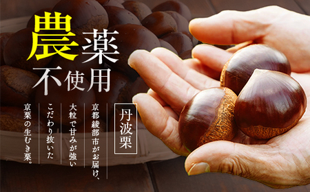 栗 生むき栗 冷凍 1kg 12月発送［BSAR006］