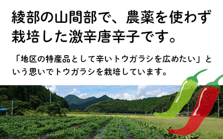 国産 唐辛子 4種セットA（青柚子胡椒／一味(鷹の爪)／青唐辛子味噌／にんにく味噌） / 調味料 スパイス 唐辛子 綾部市 / WAZUファーム［BSAF001］