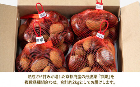 栗 2kg 丹波栗 おまかせセット 12月発送［BSAR020］