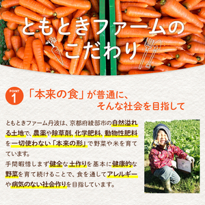 無農薬 季節の野菜セットS（約2kg） / 野菜 詰め合わせ 産地直送 綾部市 / ともときファーム丹波［BSBG008］