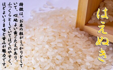 （令和7年産）山形県小国町産 はえぬき10kg（5kg×2袋）