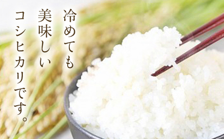【令和6年産】＼3ヶ月 定期便／高本さんちのコシヒカリ5kg×2袋 全3回【白米/玄米】 AS2G1
