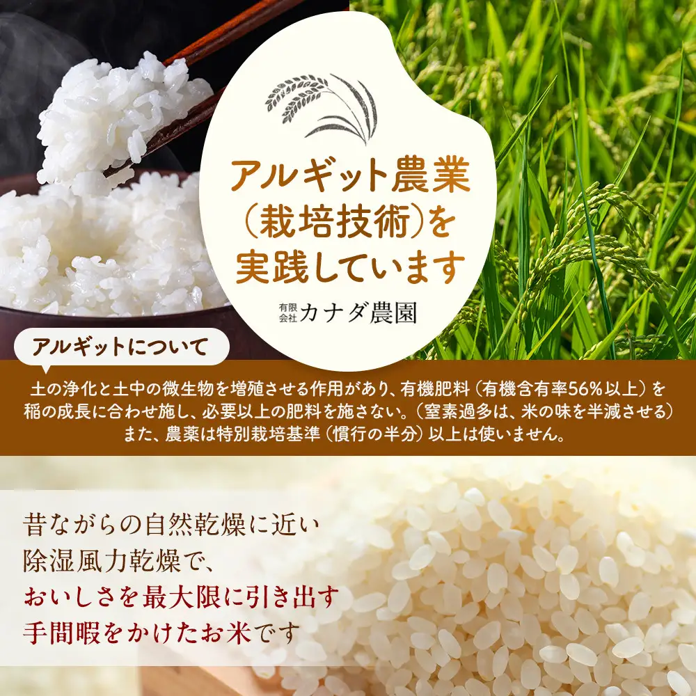 【令和7年産】富山県産こしひかり　育（はぐくみ）白米３個セット 2kg×3個 《南砺の逸品》