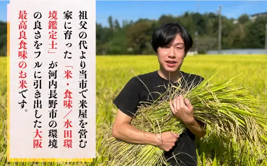 令和7年産米 国際コンクール受賞 純粋 河内長野日野産米 約4.5kg きぬむすめ 精白米 無農薬 おいしい 美味しい 受賞米 水田環境鑑定士 