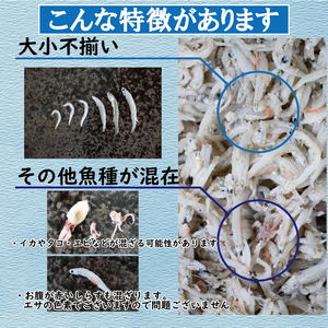 訳あり 釜揚げ しらす 2kg 釜揚げしらす 米 に合う 【AIS015】