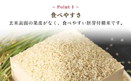 ＼12か月 定期便／木村さんの炊飯器で発芽する発芽玄米 3合×６袋×12か月【1月開始】 AS2KEA1