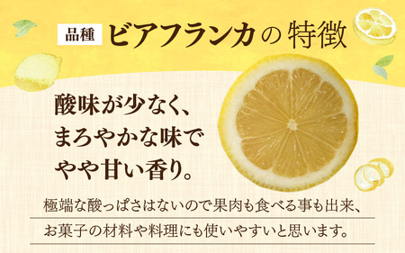 【先行予約】日本海で育ったうちうらレモン「ビアフランカ2.5kg」皮まで丸ごと食べられます！【2027年1月初旬ごろ順次発送】