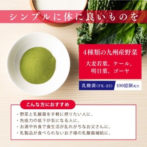 青汁 乳酸菌青汁 24個 セット 合計480袋 健康 飲料 ヘルシー 