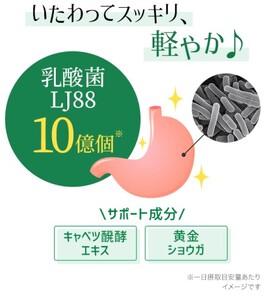 乳酸菌 DHC 胃の中の乳酸菌 LJ88 乳酸菌【30日分×2個 計60日分】