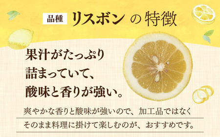 【先行予約】日本海で育ったうちうらレモン「リスボン2.5kg」皮まで丸ごと食べられます！【2026年12月下旬より順次発送】