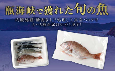 AS-537 【配送指定日必須】甑海峡 天然鮮魚詰め合わせセット