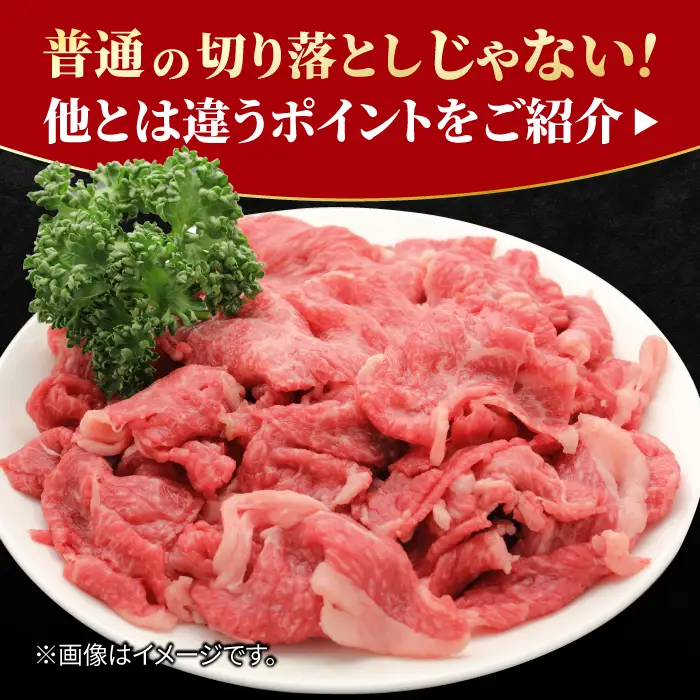 【全6回定期便】佐賀牛 赤身とバラ肉の切り落とし 250g×2 黒毛和牛切り落とし 切り落とし[FCY015]