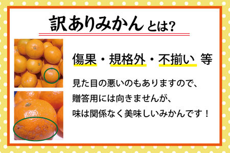 【訳あり】農家直送 有田みかん 約7.5kg ご家庭用 サイズ混合 ※2026年11月中旬から2027年1月中旬までに順次発送予定（お届け日指定不可）※北海道・沖縄・離島への配送不可　訳ありみかん 温州みかんイズ混合 訳ありみかん 温州みかん 有機質肥料100% ふるさと納税 柑橘 有田 産地直送【nuk157F】