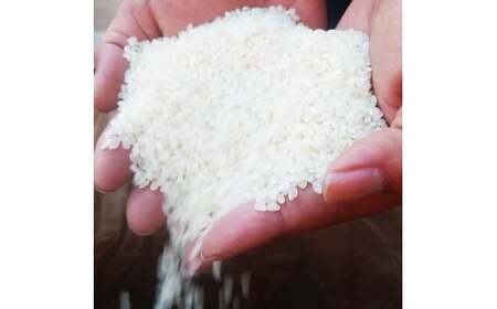 [令和6年度産] 栃木県上三川町産コシヒカリ・白米20kg（5kg×4袋）◆ | 国産 栃木県産 コシヒカリ 米 お米 単一原料米 精米 白米 栃木米 とちぎ米 産地直送 送料無料　※離島への配送不可