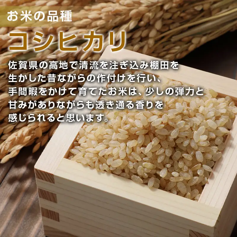 唐津産 七山 棚田米 コシヒカリ 玄米 2合(300g)×5袋セット