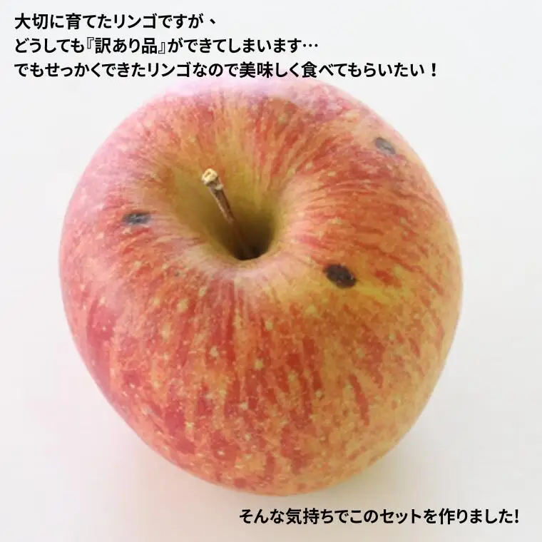 MS17 りんご サンふじ（長野県産訳あり品） 約5kg / 2027年1月上旬～2月上旬頃 配送予定 // 長野県 南信州 さんふじ サンフジ ふじりんご 訳あり 訳アリ 家庭用 自宅用 リンゴ 林檎 ふじ